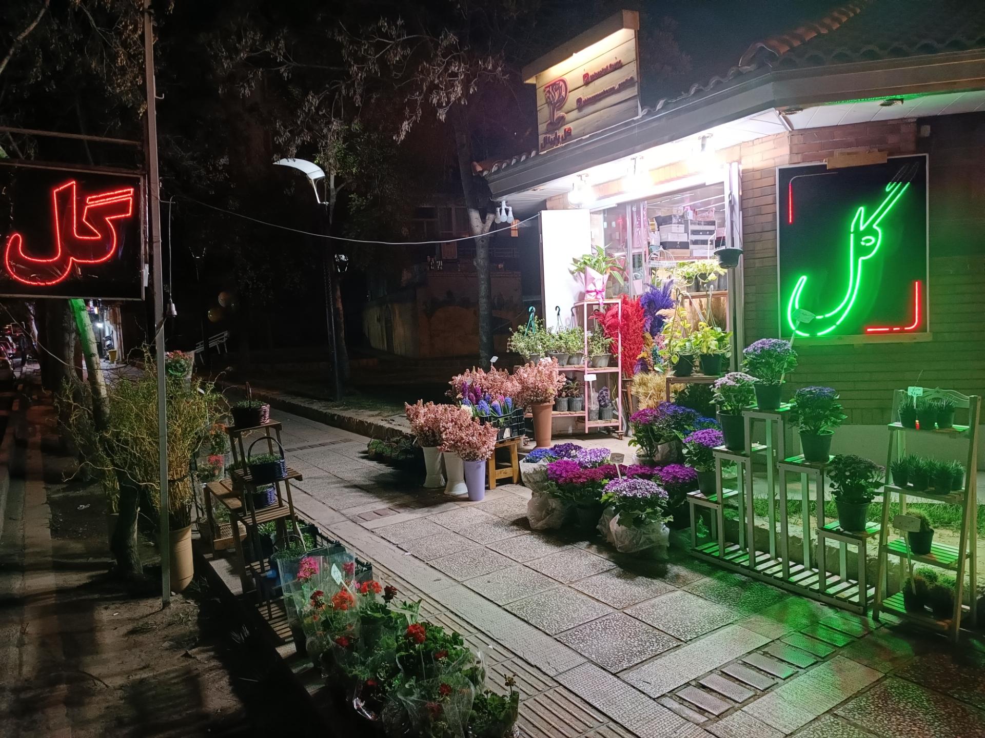 عکس گل پاپیتال