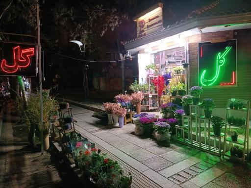 عکس گل پاپیتال