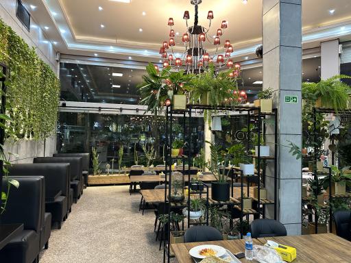 عکس فست فود کندوک