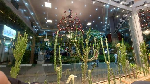 عکس فست فود کندوک