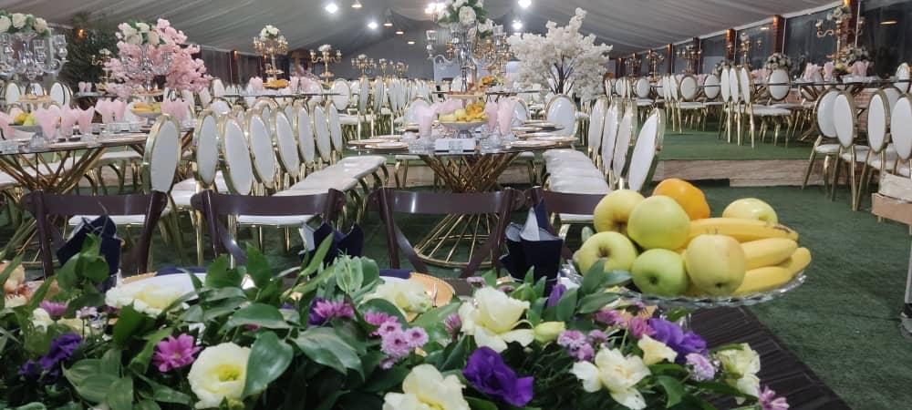 عکس باغ و تالار قوی سپید 