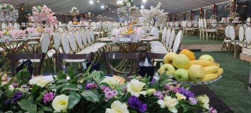 عکس باغ و تالار قوی سپید 