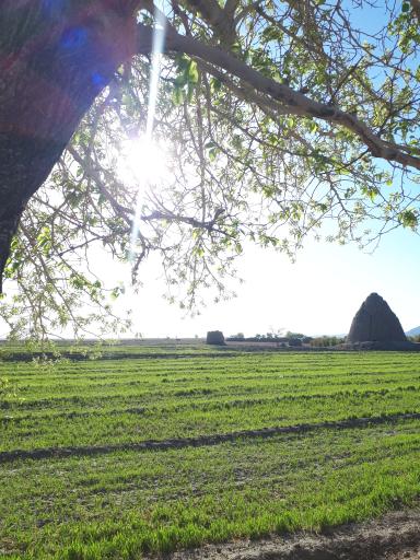 عکس یخدان کاهک