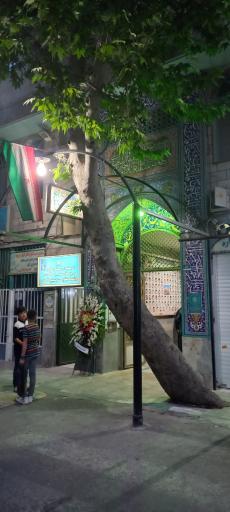 عکس مسجد علی بن موسی الرضا (علیه السلام)