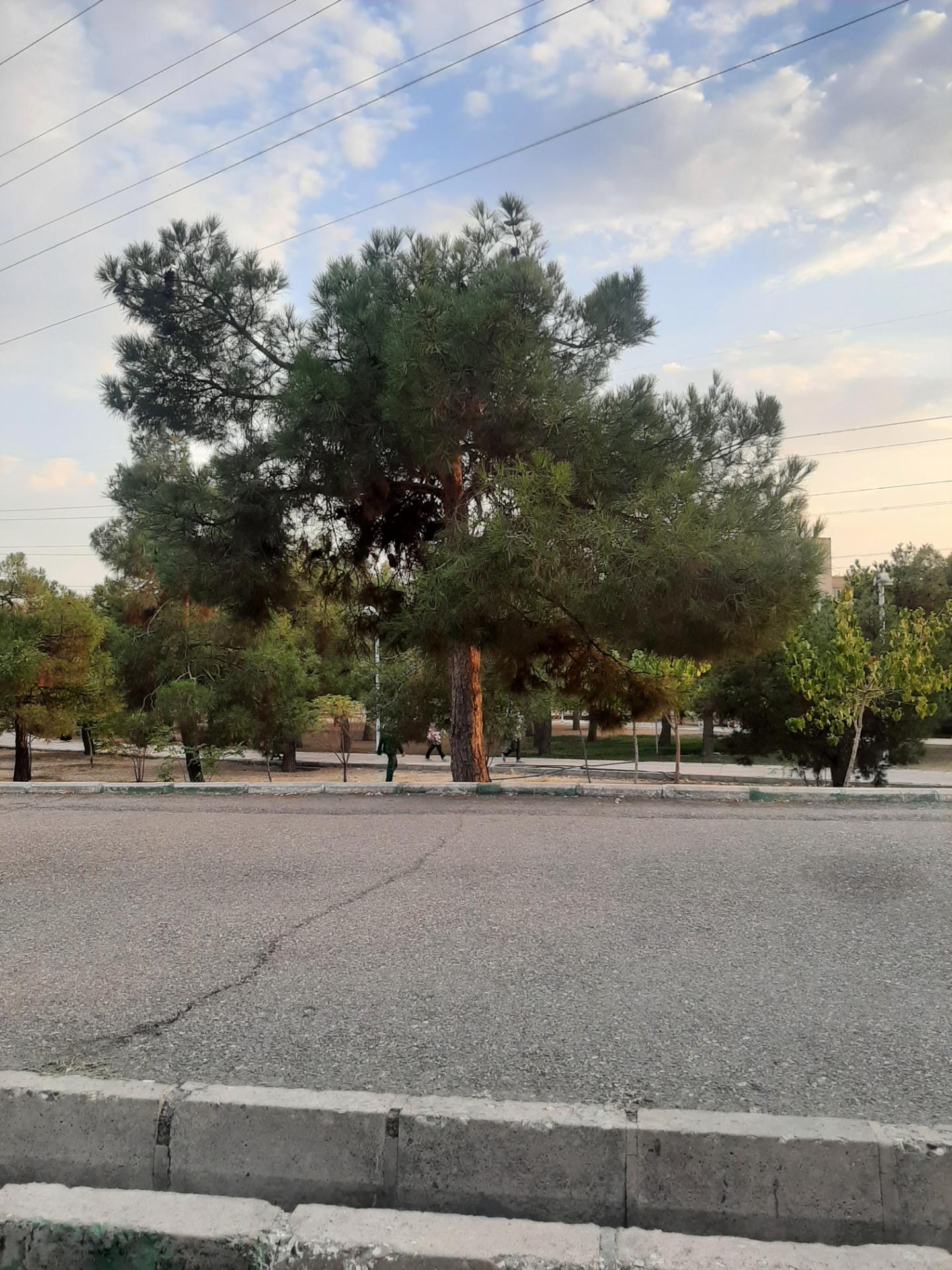 عکس بوستان تندرستی