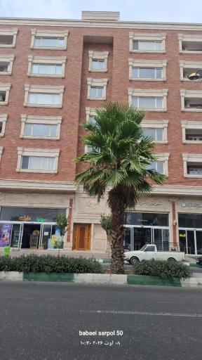 عکس مجتمع   جوکار