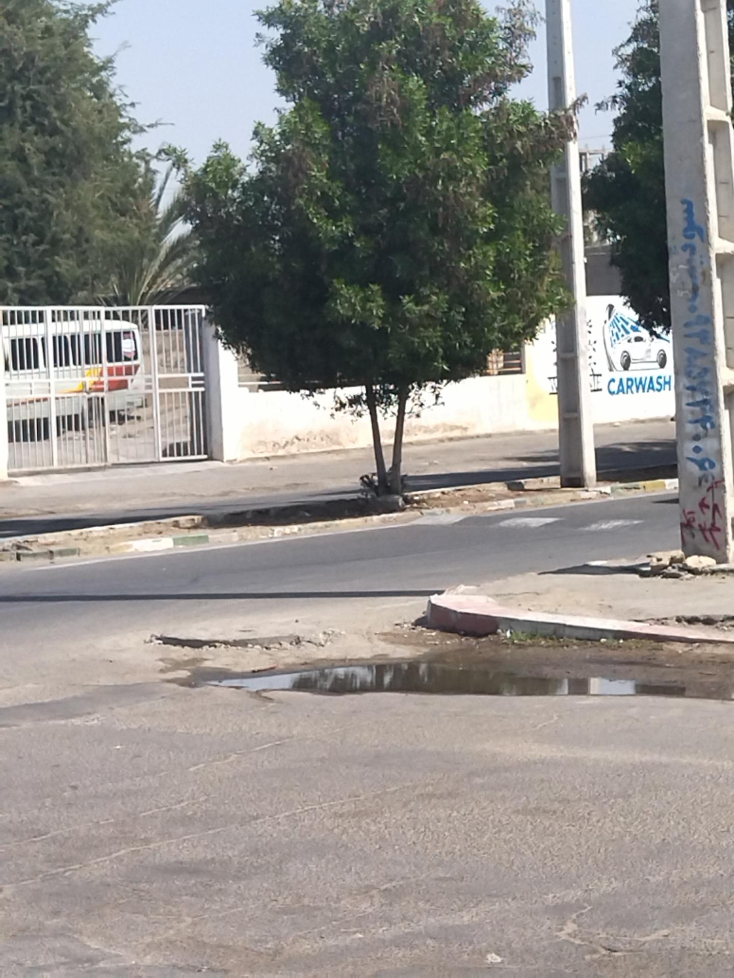 عکس کارواش ساحل