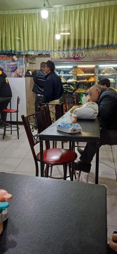 عکس ساندویچی شاهین