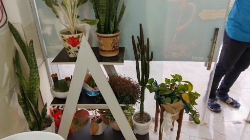 عکس کافه امید