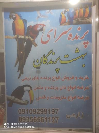 عکس بهشت پرندگان 