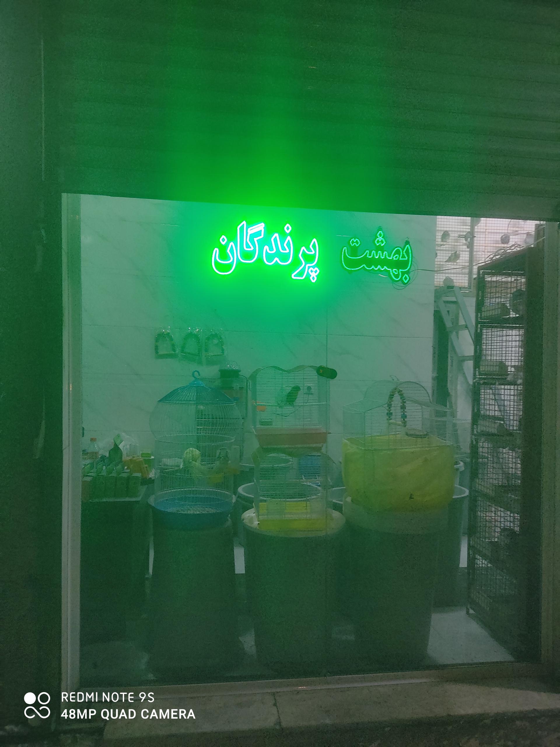 عکس بهشت پرندگان 