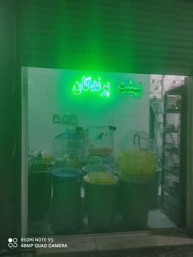 عکس بهشت پرندگان 