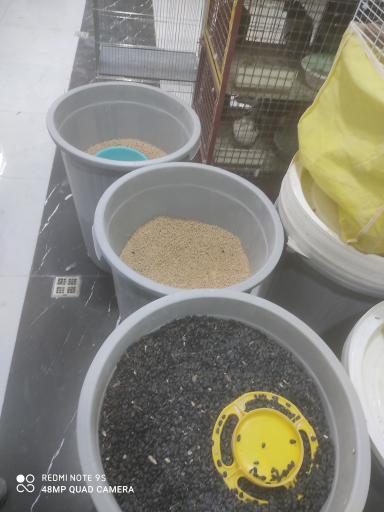 عکس بهشت پرندگان 