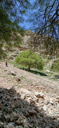 عکس چشمه سرداب رستم آباد