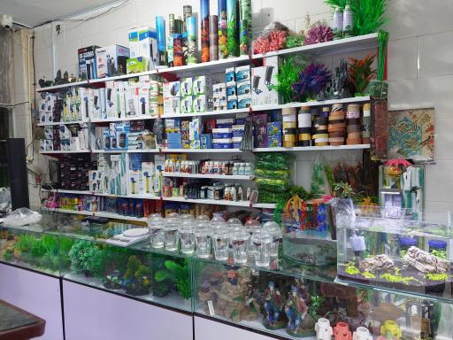 عکس آکواریوم ماهیران