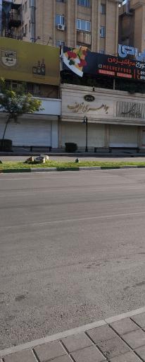 عکس جواهری ظریف