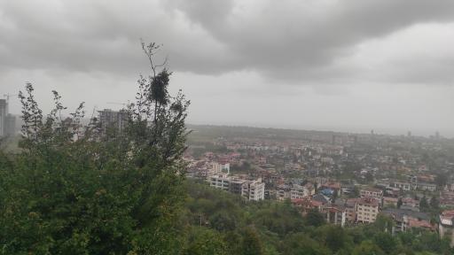 بام نمک آبرود