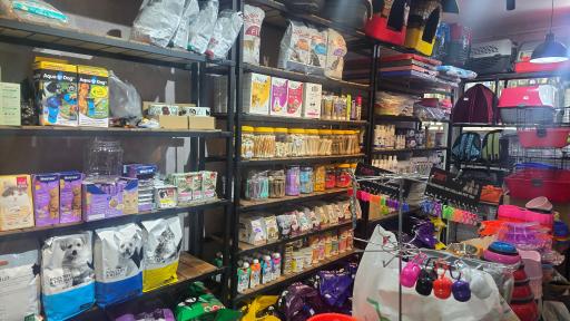 عکس پت شاپ رنگو شعبه دوم