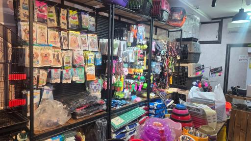 عکس پت شاپ رنگو شعبه دوم