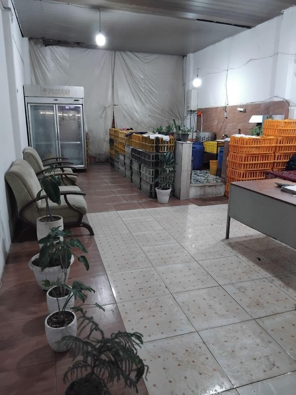 عکس ارزانکده مرغ زنده واحدی 