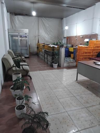 عکس ارزانکده مرغ زنده واحدی 