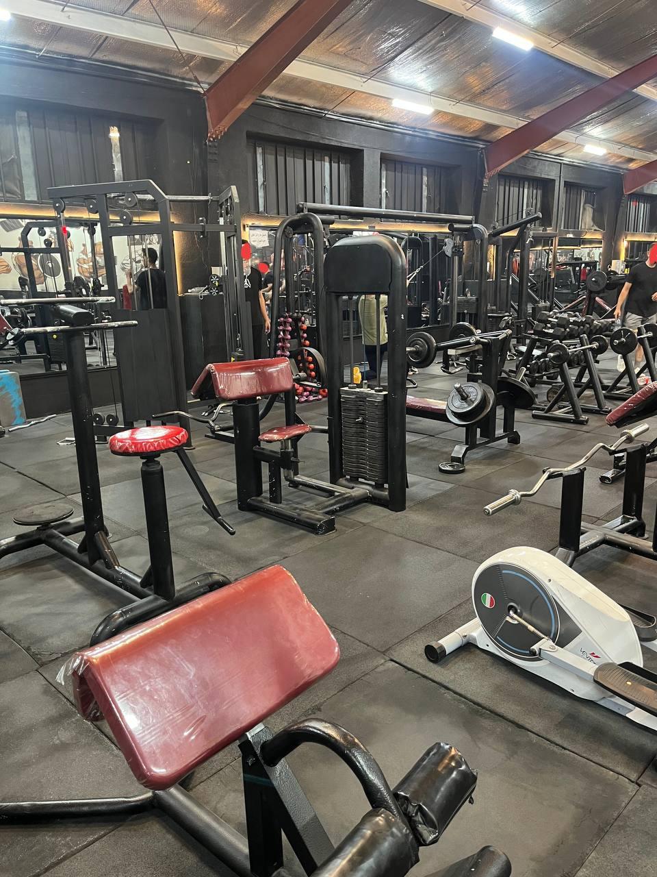 عکس باشگاه ورزشی GYM plus