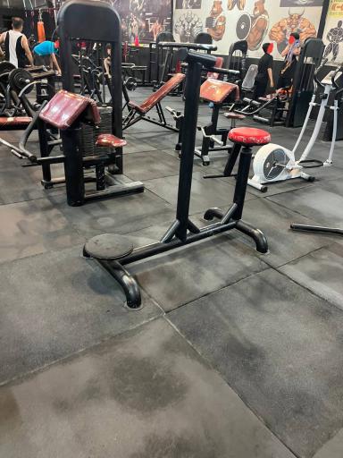 عکس باشگاه ورزشی GYM plus
