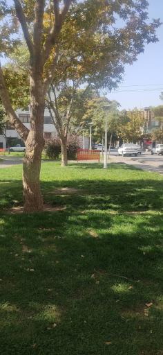 عکس بوستان کمیل 