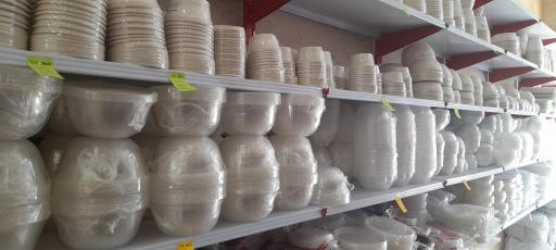 عکس یکبار مصرف بهار پلاست