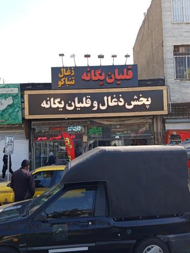 عکس پخش ذغال قلیان یگانه