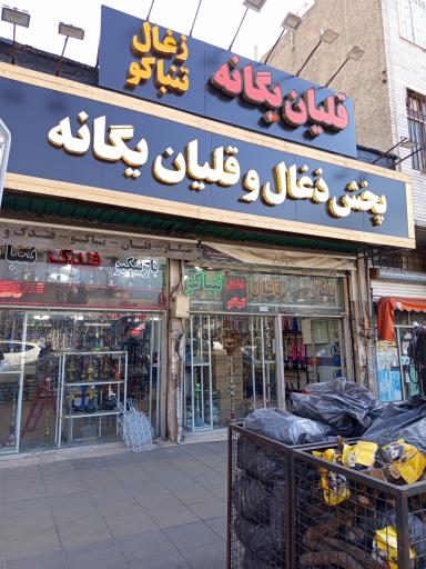 عکس پخش ذغال قلیان یگانه