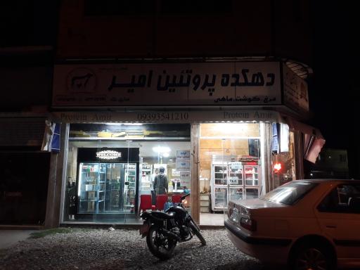 عکس دهکده پروتئین امیر