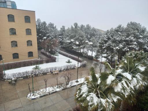 عکس دانشگاه قم