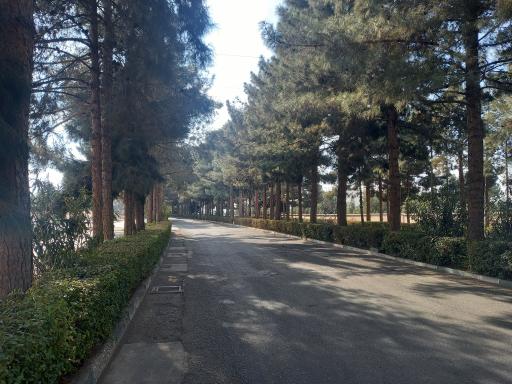 عکس دانشگاه قم