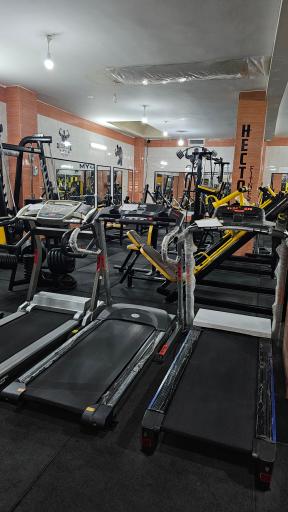 عکس باشگاه ورزشی هکتور