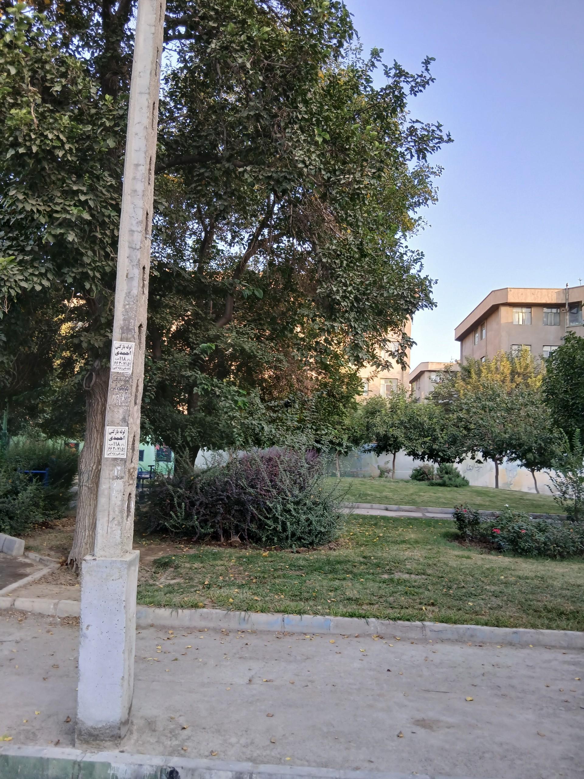 عکس پارک مروارید