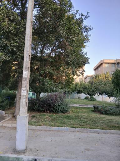 عکس پارک مروارید