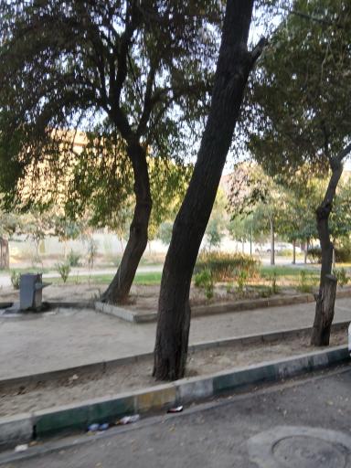 عکس پارک مروارید