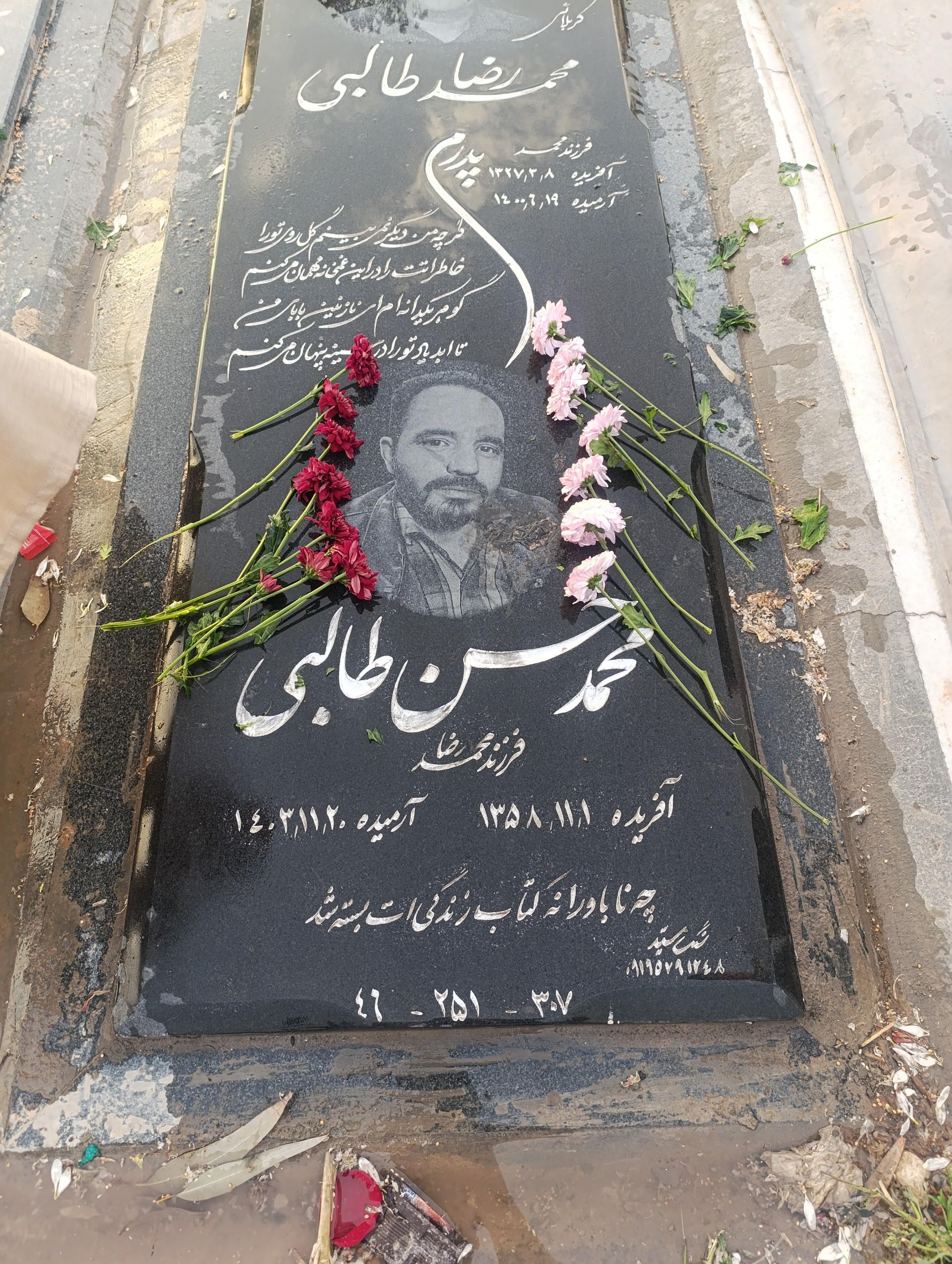عکس محمد حسن طالبی