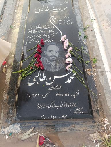 عکس محمد حسن طالبی