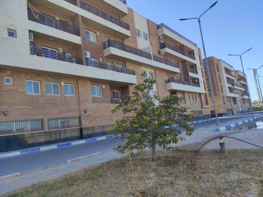 عکس شهرک نفت