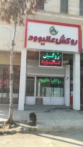 عکس فروشگاه عالیوود