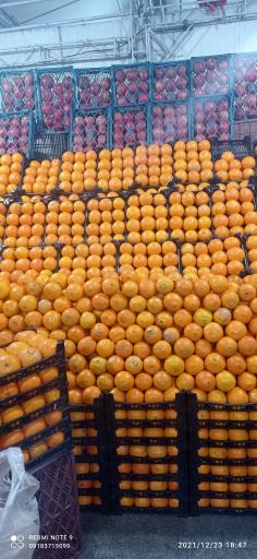 عکس بازار میوه و تره بار جنت آباد