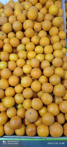 عکس بازار روز میوه و تره‌بار جنت آباد