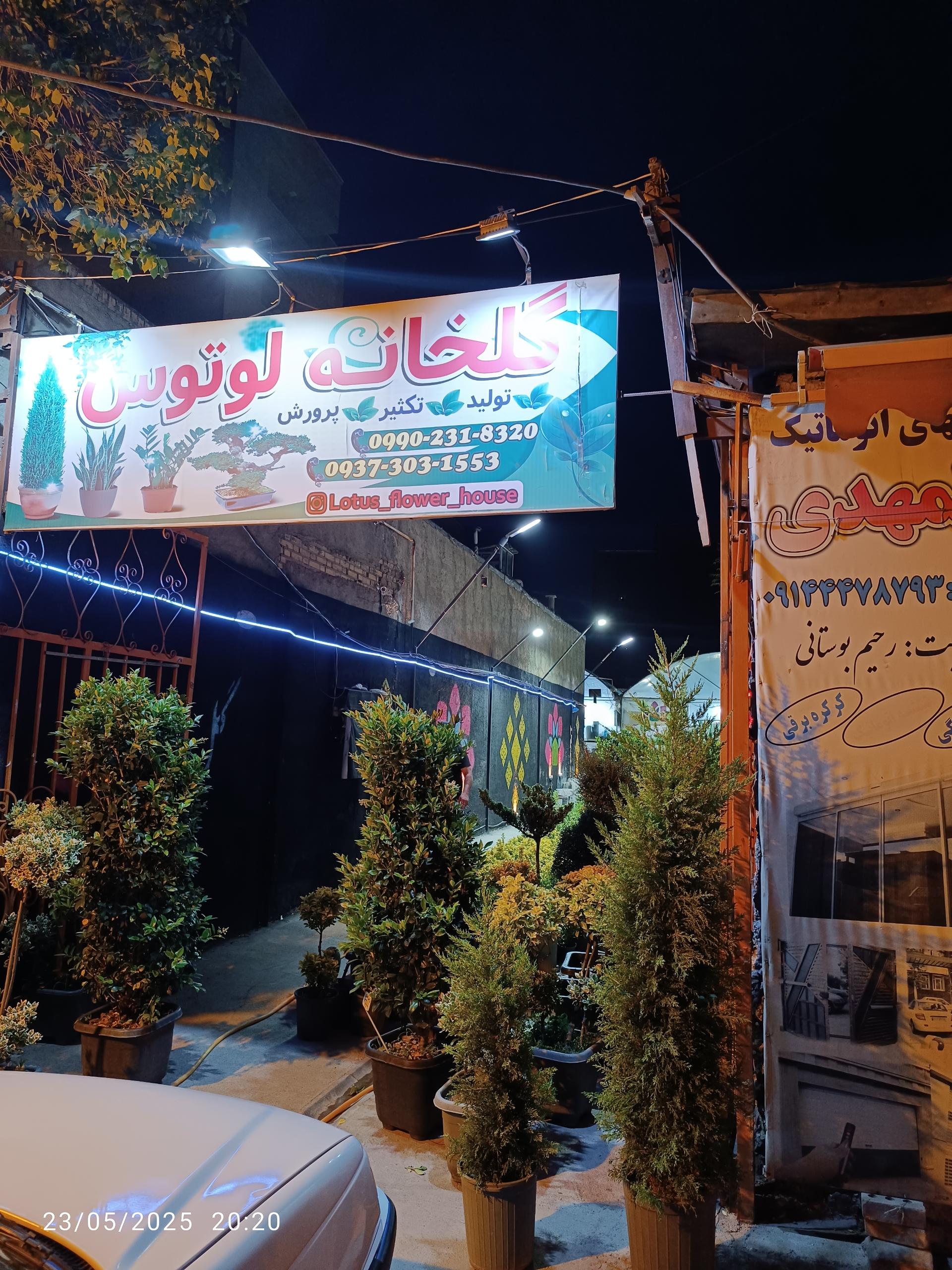 عکس گلخانه لوتوس