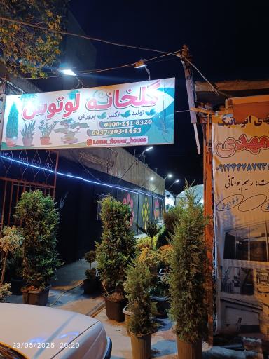 گلخانه لوتوس