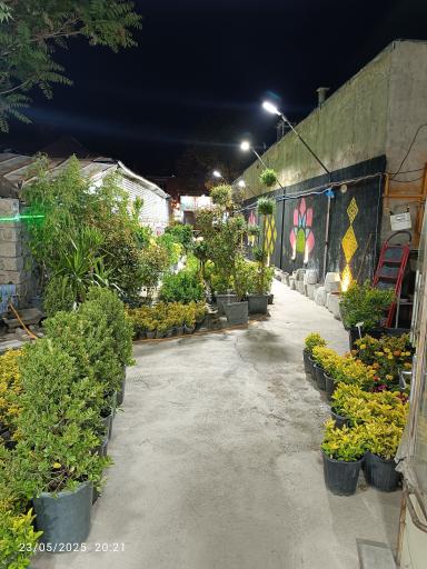 عکس گلخانه لوتوس