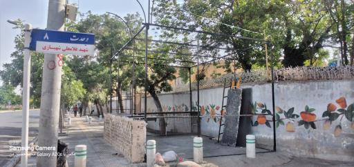 عکس موکب نوجوانان انصارالمهدی عج 