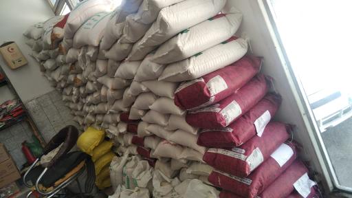 عکس برنج فروشی شکوری