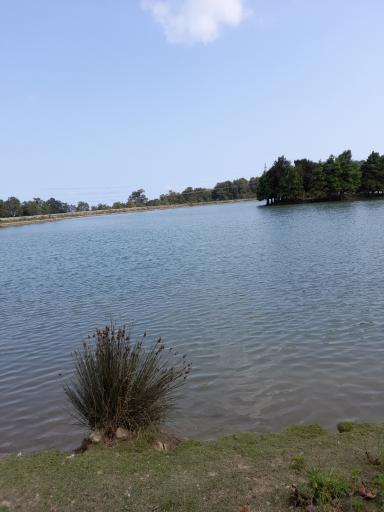 عکس پارک سد خاکی اویدر